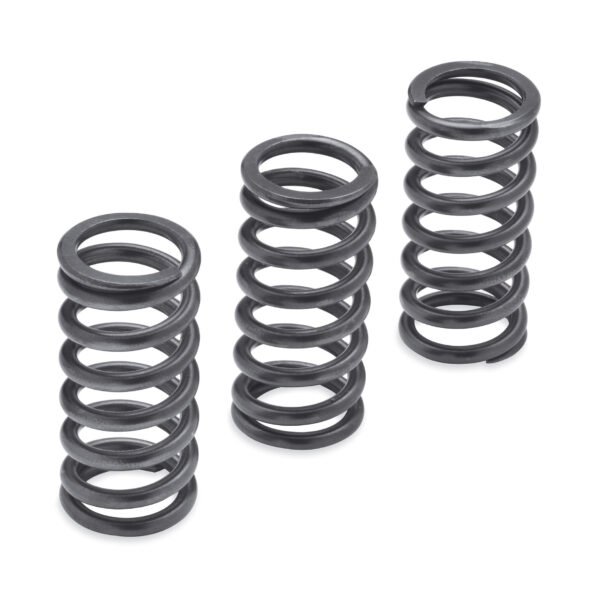 Milwaukee-Eight Engine Clutch Springs - 1275N