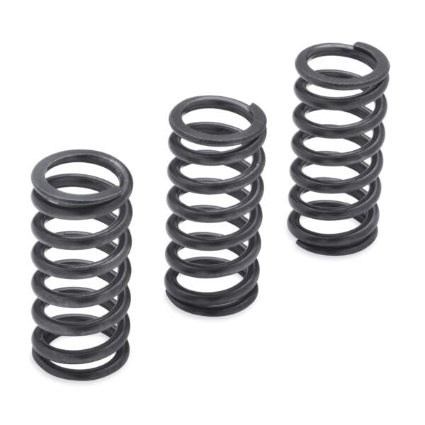 Milwaukee-Eight Engine Clutch Springs - 1200N