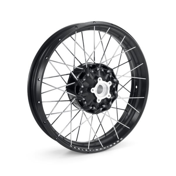Laced 19 in. Front Wheel