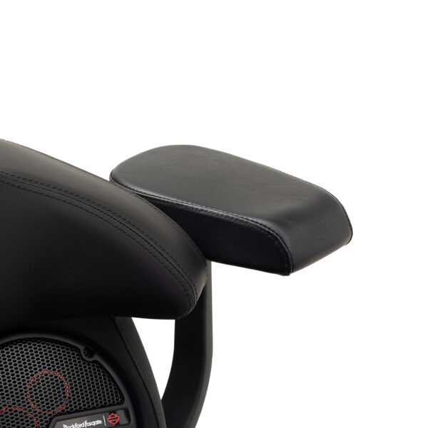 Grand Tour-Pak Passenger Armrests