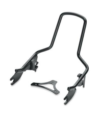 Detachables Sissy Bar Upright