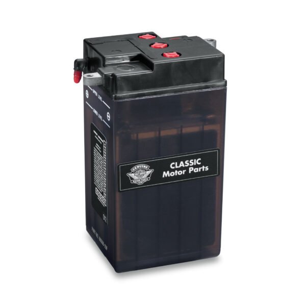 6V Conventional Battery - Dry