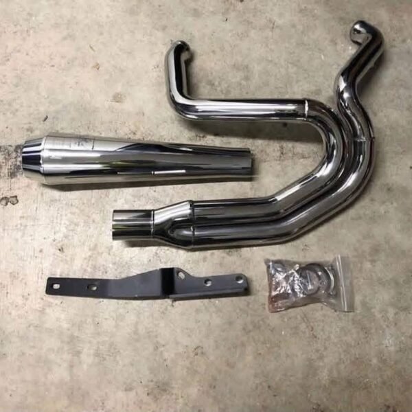Bassani Greg Lutzka Dyna 2 into 1 stainless exhaust